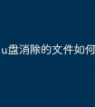 u盘消除的文件如何恢复