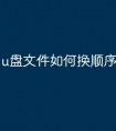 u盘文件如何换顺序打开
