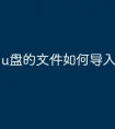 u盘的文件如何导入汽车