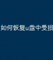 如何恢复u盘中受损文件