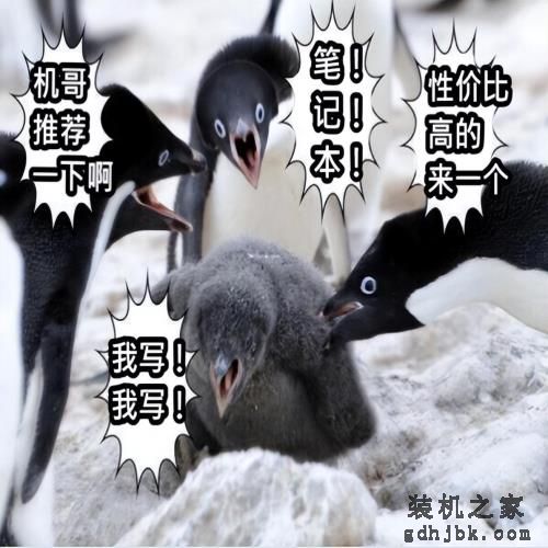 2023年，买笔记本该怎么挑？
