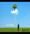 2018年11月显卡天梯图最新版 你的电脑显卡排名高吗？