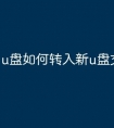 u盘如何转入新u盘文件