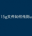 15g文件如何传到u盘