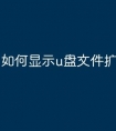如何显示u盘文件扩展名