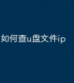 如何查u盘文件ip