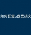 如何恢复u盘受损文件