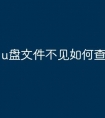 u盘文件不见如何查找