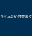 手机u盘如何查看文件