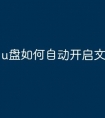 u盘如何自动开启文件