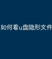 如何看u盘隐形文件