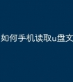 如何手机读取u盘文件