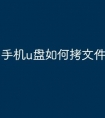 手机u盘如何拷文件