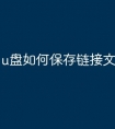 u盘如何保存链接文件