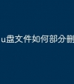 u盘文件如何部分删除
