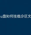 u盘如何挂载分区文件