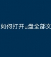 如何打开u盘全部文件