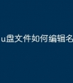 u盘文件如何编辑名称