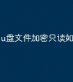 u盘文件加密只读如何