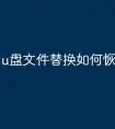 u盘文件替换如何恢复