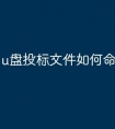 u盘投标文件如何命名