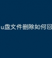 u盘文件删除如何回复