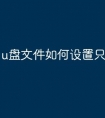 u盘文件如何设置只读