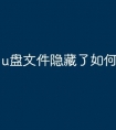 u盘文件隐藏了如何恢复