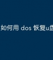 如何用 dos 恢复u盘文件