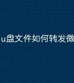 u盘文件如何转发微信