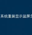 系统重装显示蓝屏怎么办