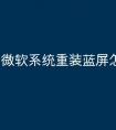 微软系统重装蓝屏怎么办
