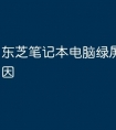 东芝笔记本电脑绿屏是什么原因