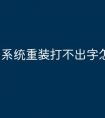 系统重装打不出字怎么办