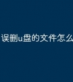误删u盘的文件怎么恢复