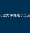 u盘文件隐藏了怎么恢复