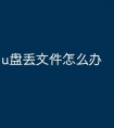 u盘丢文件怎么办