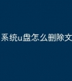 系统u盘怎么删除文件