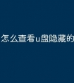 怎么查看u盘隐藏的文件