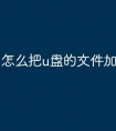 怎么把u盘的文件加密码