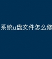 系统u盘文件怎么修复