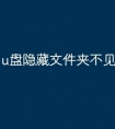 u盘隐藏文件夹不见了怎么办