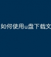 如何使用u盘下载文件