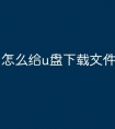 怎么给u盘下载文件