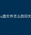 u盘文件怎么找回文件