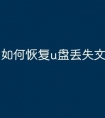 如何恢复u盘丢失文件