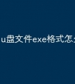 u盘文件exe格式怎么打开