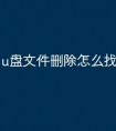 u盘文件删除怎么找回