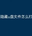 隐藏u盘文件怎么打开