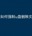 如何强制u盘删除文件